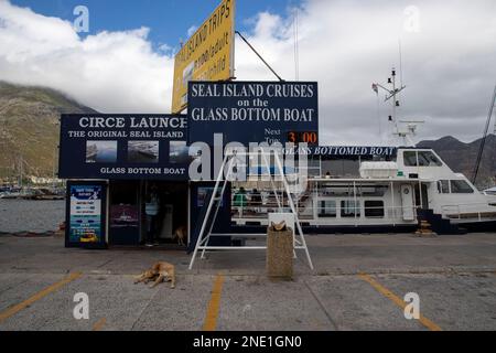 Kapstadt. 16. Februar 2023. Dieses Foto wurde am 15. Februar aufgenommen. 2023 Uhr zeigt ein Boot zur Robbenbeobachtung in Hout Bay in Kapstadt, Südafrika. Duiker Island ist bekannt für seine hohe Population von Robben. Kredit: Zhang Yudong/Xinhua/Alamy Live News Stockfoto