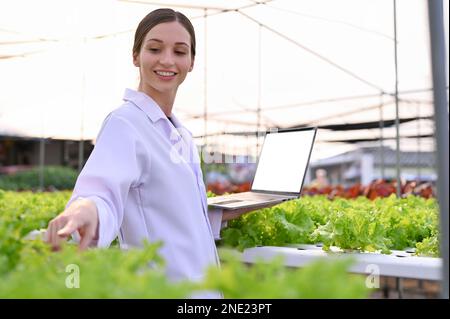 Professionelle und attraktive weiße Landwirtschaftswissenschaftlerin oder Biologin, die mit einem Laptop arbeitet, das Hydrofonsystem inspiziert, im Gewächshaus arbeitet Stockfoto