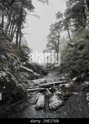 Huerquehue-Nationalpark, Pucon, Chile Stockfoto