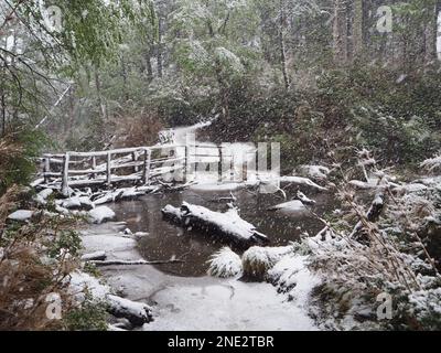 Schnee fällt auf der Brücke über einen Fluss. Huerquehue-Nationalpark, Pucon, Chile Stockfoto