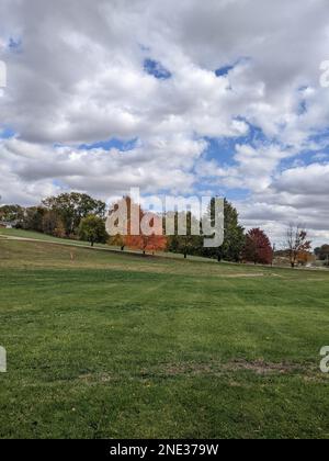 Dieses lebendige Bild erfasst eine atemberaubende Herbstlandschaft mit einem ruhigen Feld unter einem Himmel voller Wolken Stockfoto