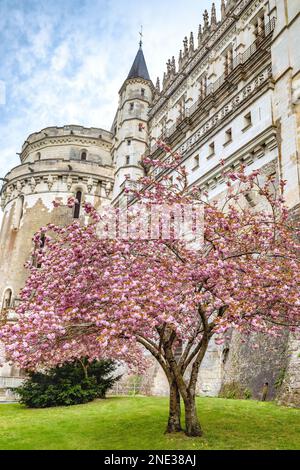 Seitenansicht des Château d'Amboise im Frühling, Loire-Tal, Frankreich Stockfoto