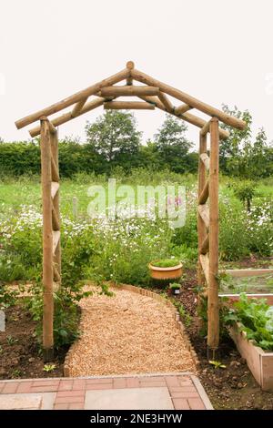 Nahaufnahme eines neu gebauten handgefertigten Holzgartens und junger Kletterpflanzen, die sich über einem Schotterweg in einem neu gepflanzten Garten befinden. Stockfoto