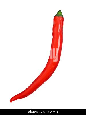 Frischer, roter, heißer Chili-Pfeffer, isoliert auf weißem Hintergrund, Clipping-Pfad Stockfoto