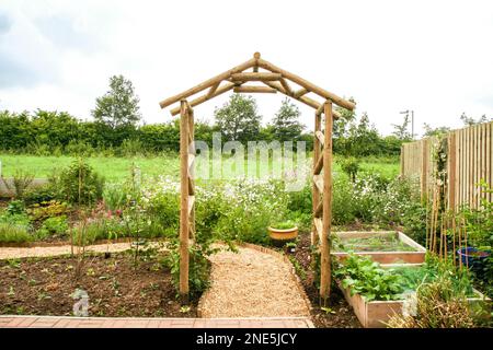 Nahaufnahme eines neu gebauten handgefertigten Holzgartens und junger Kletterpflanzen, die sich über einem Schotterweg in einem neu gepflanzten Garten befinden. Stockfoto