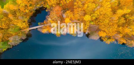 Touristenpfad durch farbenprächtigen Wald und Brücke über blaues Wasser im Herbst. Luftaufnahme von der Drohne. Stockfoto