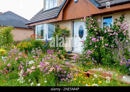 Eine Nahaufnahme eines hübschen Landhausgartens mit pinkfarbenen Rosen und einer bunten Mischung aus Sommerblumen, die es zu einem Zufluchtsort für Wildtiere machen. Stockfoto