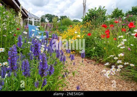 Ein kleiner Garten im Sommer mit zwangloser Pflanzung im Landhausstil, Gartenbank, Schotterpfad und farbenfrohen Blumenbeeten mit harten einjährigen und mehrjährigen Pflanzen. Stockfoto
