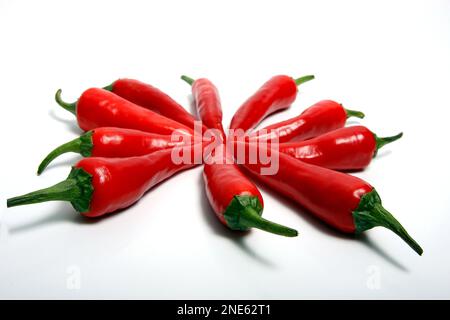 Zwei frische rote Paprika, ausgeschnitten Stockfoto