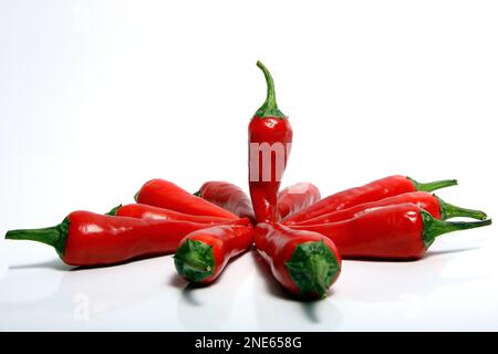 Zwei frische rote Paprika, ausgeschnitten Stockfoto