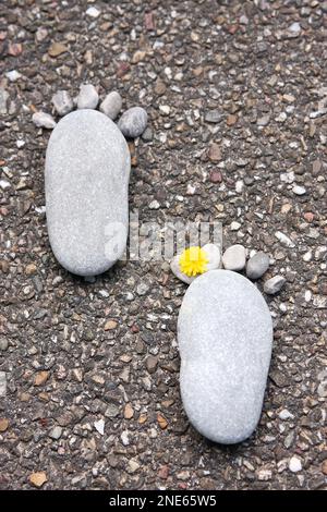 Steinfüße auf Asphalt, gelbe Blüten zwischen den Zehen Stockfoto