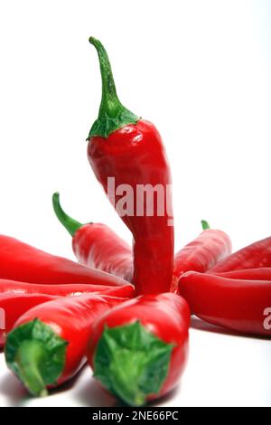 Zwei frische rote Paprika, ausgeschnitten Stockfoto