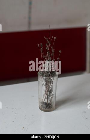 Getrocknete Lavendelblumen in einem Glas Stockfoto