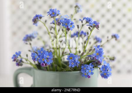 Wunderschöne blaue, vergessene Blumen im Becher vor verschwommenem Hintergrund, Nahaufnahme Stockfoto