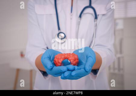 Arzt mit Schilddrüsenmodell im Krankenhaus, Nahaufnahme Stockfoto