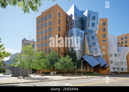 MIT's „Geek Palace“ – Ray and Maria Stata Center for Computer, Information and Intelligence Sciences – ist darauf ausgelegt, das normale Denken in Frage zu stellen. Stockfoto