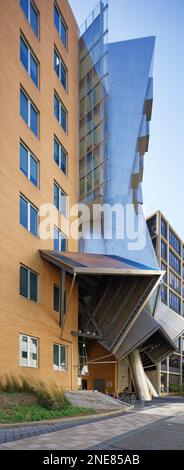 MIT's „Geek Palace“ – Ray and Maria Stata Center for Computer, Information and Intelligence Sciences – ist darauf ausgelegt, das normale Denken in Frage zu stellen. Stockfoto