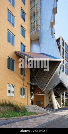 MIT's „Geek Palace“ – Ray and Maria Stata Center for Computer, Information and Intelligence Sciences – ist darauf ausgelegt, das normale Denken in Frage zu stellen. Stockfoto