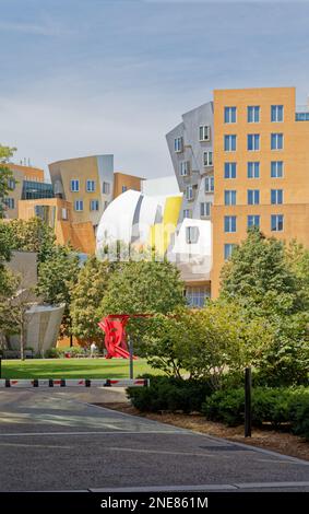 MIT's „Geek Palace“ – Ray and Maria Stata Center for Computer, Information and Intelligence Sciences – ist darauf ausgelegt, das normale Denken in Frage zu stellen. Stockfoto