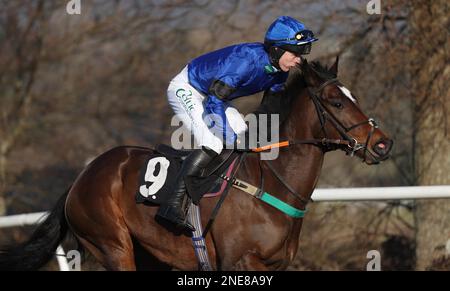 Plumpton, Vereinigtes Königreich 13. Februar 2023 : Niall Houlihan Ridding Qeyaady wird für die Strong Flavours Catering Maiden Hürde auf der Plumpton Rennbahn posten. Kredit: James Boardman/Alamy Live News Stockfoto