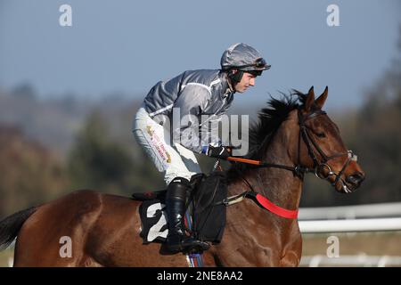 Plumpton, Vereinigtes Königreich 13. Februar 2023 : Max kendrick Ridding Coilrock wird für die Strong Flavours Catering Maiden Hürde auf der Plumpton Rennbahn posten. Kredit: James Boardman/Alamy Live News Stockfoto