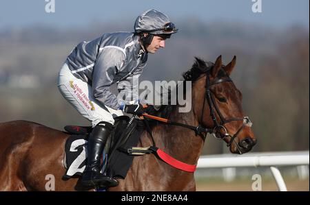 Plumpton, Vereinigtes Königreich 13. Februar 2023 : Max kendrick Ridding Coilrock wird für die Strong Flavours Catering Maiden Hürde auf der Plumpton Rennbahn posten. Kredit: James Boardman/Alamy Live News Stockfoto