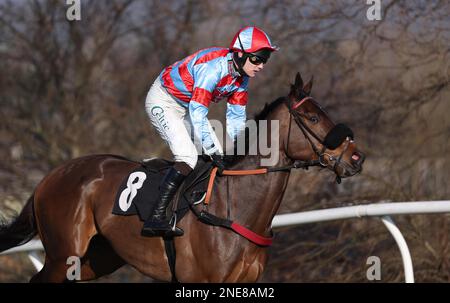 Plumpton, Vereinigtes Königreich, 13. Februar 2023 : Sean Houlihan Ridding Mardoof wird für die Strong Flavours Catering Maiden Hürde auf der Plumpton Rennbahn posten. Kredit: James Boardman/Alamy Live News Stockfoto