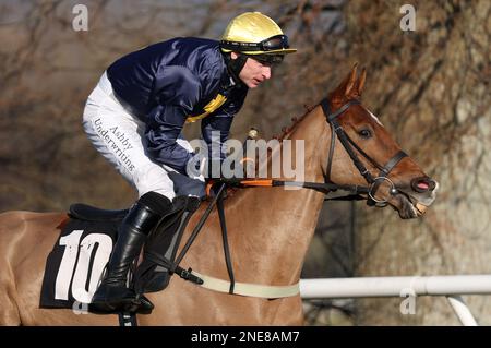 Plumpton, Vereinigtes Königreich, 13. Februar 2023 : Tom O'Brien Ridding Tzunami geht zum Post für die Strong Flavours Catering Maiden Hürde auf der Plumpton Rennbahn. Kredit: James Boardman/Alamy Live News Stockfoto