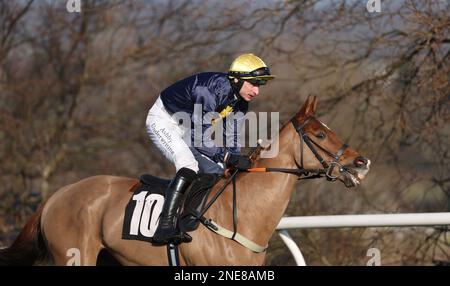 Plumpton, Vereinigtes Königreich, 13. Februar 2023 : Tom O'Brien Ridding Tzunami geht zum Post für die Strong Flavours Catering Maiden Hürde auf der Plumpton Rennbahn. Kredit: James Boardman/Alamy Live News Stockfoto