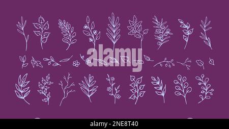 Satz handgezogener Fliederblätter und Zweige Stock Vektor