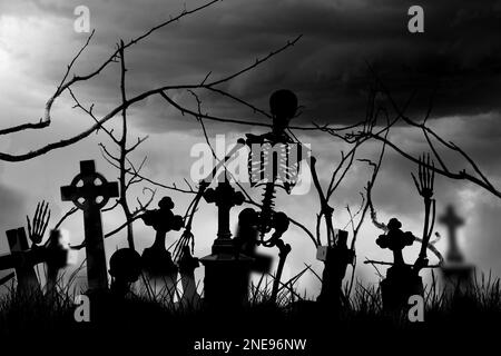 Gruseliges Skelett auf dem nebligen Friedhof in der Nacht Stockfoto