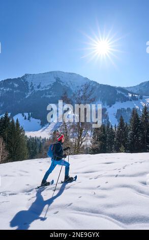 Nette und aktive Seniorin, die in tiefem Pulverschnee unter dem Berg Hochgrat in den alpenbergen bei Oberstaufen Schneeschuhwanderungen macht Stockfoto