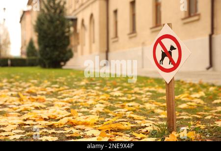 Am sonnigen Herbsttag ist ein Schild mit der Aufschrift „Hunde sind nicht erlaubt“ im Park zu sehen Stockfoto