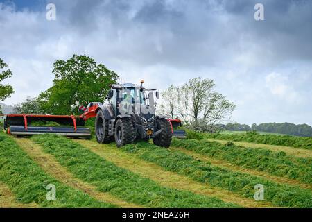 Valtra-Traktor mit einem Kuhn Merge Maxx 950, um Gras für die Ernte auf einem Milchviehbetrieb in Schottland, Großbritannien, zu reiten. Stockfoto