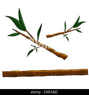 Bambusstamm und Bambuszweige mit grünen Blättern isoliert auf weißem Hintergrund. Clipart, Vektordesign-Element. Stockfoto