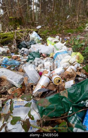 Müll, der in einem Waldgebiet in einem Lagebau an einer Straßenrand, Cumbria, Großbritannien, weggeworfen wurde. Stockfoto