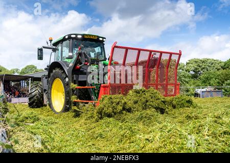 John Deere 6215R mit hinten montiertem Buckrake, der auf einer Silagegrube arbeitet, um das Gras für die Lagerung auf einem Milchbetrieb in Dumfries, Schottland, Großbritannien, zu verdichten. Stockfoto