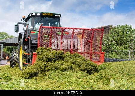 John Deere 6215R mit hinten montiertem Buckrake, der auf einer Silagegrube arbeitet, um das Gras für die Lagerung auf einem Milchbetrieb in Dumfries, Schottland, Großbritannien, zu verdichten. Stockfoto