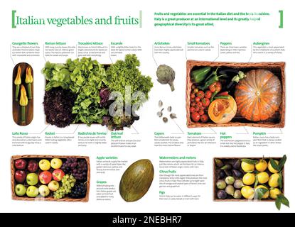 Infografiken über typische italienische Gemüsesorten, Gartenprodukte und frisches Obst. [QuarkXPress (.qxp); 4251 x 3070]. Stockfoto