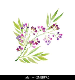 Ein Zweig wunderschöner, zarter lila Blumen mit Blättern. Zeichnen von Hand für Grußkarten, Grußkarten, Drucken. Stockfoto