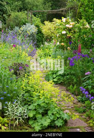 Pfad durch Cottage Garden mit gemischten Grenzen Stockfoto