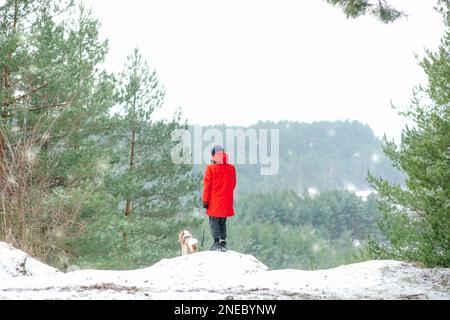 Rückblick auf einen Jungen im Teenageralter, der in der Nähe von Klippen zwischen Pinienbäumen in einem Parkwald steht, im verschneiten Winter, mit einem wandelnden Hundespaniel. Stockfoto