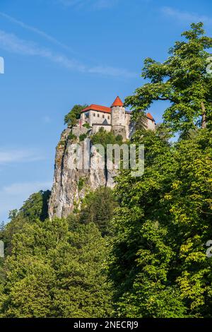Schloss Bled in Slowenien, mittelalterliche Festung auf hohem Felsen in den Julischen Alpen, nordwestliche Region. Stockfoto