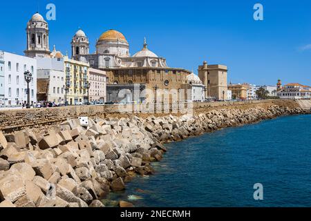 Cadiz Strandpromenade mit Catedral de Cadiz und Kirche Parroquia de Santa Cruz. Costa de la Luz, Andalusien, Spanien. Stockfoto