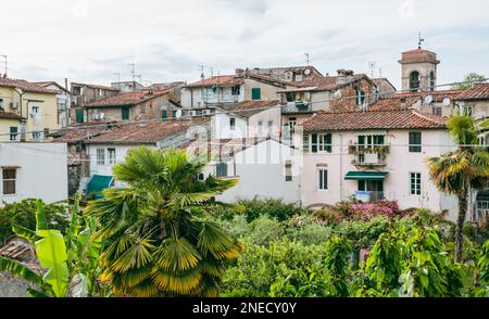 Lucca, Toskana, Zentralitalien, Europa Stockfoto