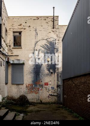 Banksy Bristol Gasse Graffiti Mural The Girl mit dem durchbohrten Trommelfell inspiriert von Vermeer's Girl mit einem Perlenohrring. Bristol. UK Stockfoto