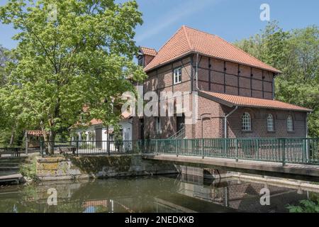 Plagemann's Mill, restaurierte Getreidewassermühle mit Sägewerk, Metelen, Müsterland, Nordrhein-Westfalen, Deutschland Stockfoto