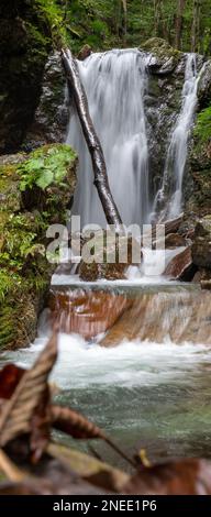 Ein Wasserfall im Oze-Nationalpark in Gunma, Japan. Stockfoto