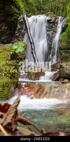 Ein Wasserfall im Oze-Nationalpark in Gunma, Japan. Stockfoto