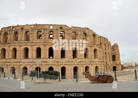 Römisches Amphitheater El Jem in Tunesien Stockfoto